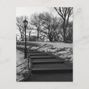 Cartão Postal Preto Branco NY Parque Central
