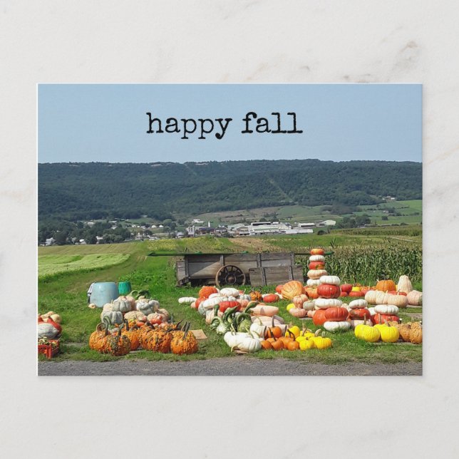 Cartão Postal pretty fall pumpkin farm post card (Frente)
