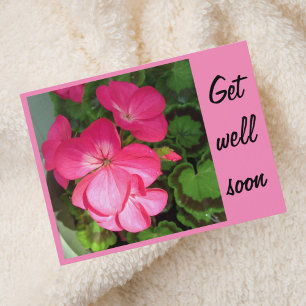 Cartão Postal Pretty Pink Geranium Photo Get Well Soon Postcard