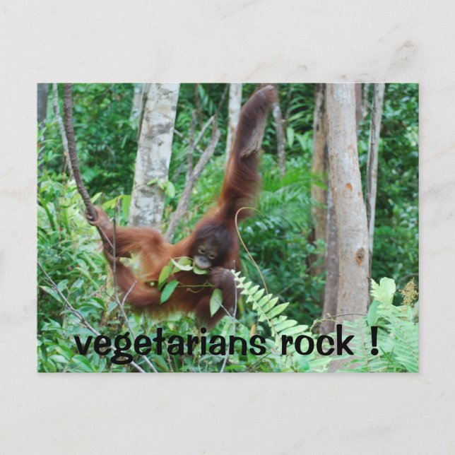 Cartão Postal Primate Vegetarians Rock! (Frente)