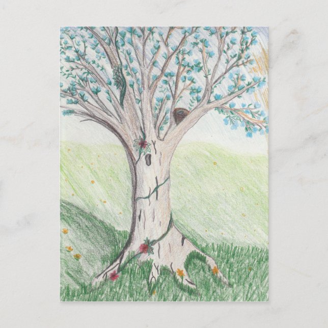 Cartão postal primavera (Frente)