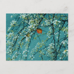Cartão Postal Primavera