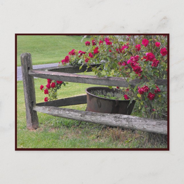 Cartão Postal ~ Primavera 41 ~ (Frente)