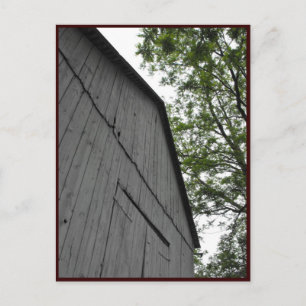 Cartão Postal ~ Primavera 43 ~