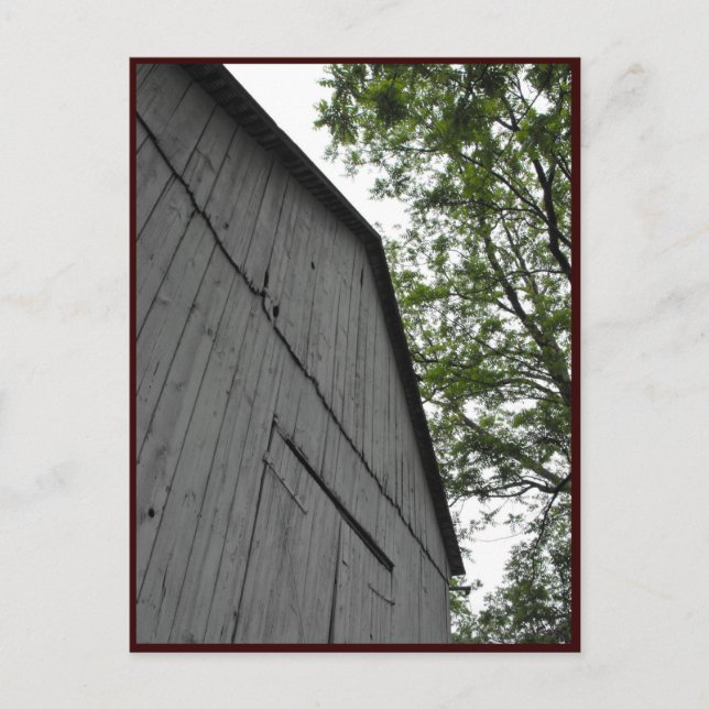 Cartão Postal ~ Primavera 43 ~ (Frente)