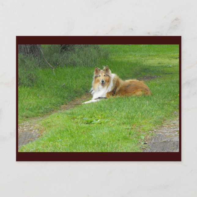 Cartão Postal ~ Primavera 46 ~ (Frente)