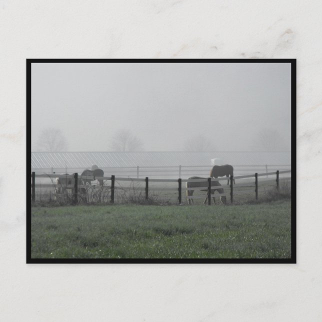 Cartão Postal ~ Primavera 79 ~ (Frente)