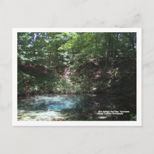 Cartão Postal Primavera azul no Red Clay, Tennessee