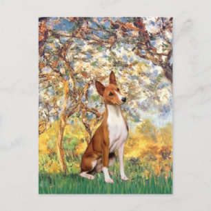 Cartão Postal Primavera - Basenji