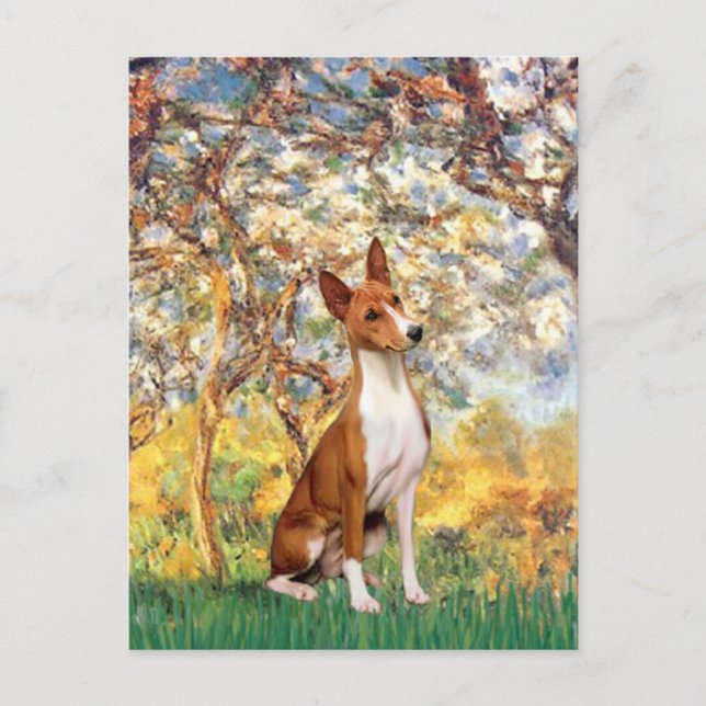 Cartão Postal Primavera - Basenji (Frente)