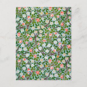 Cartão Postal Primavera Blossomo