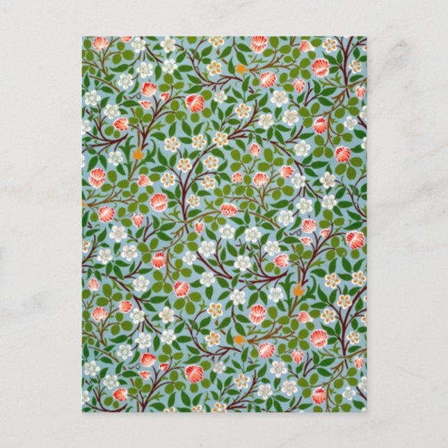 Cartão Postal Primavera Blossomo (Frente)