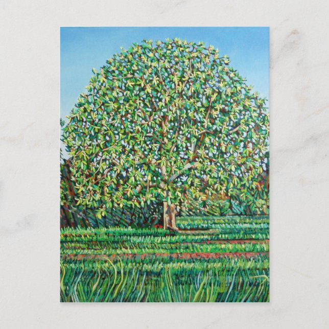 Cartão Postal Primavera de árvore de arco (Frente)
