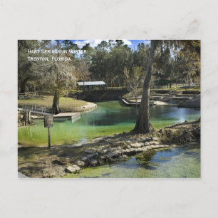 Cartão postal Primavera de inverno