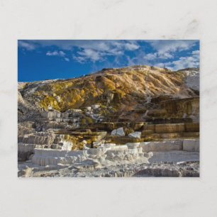 Cartão Postal Primavera de Mammoth Hot