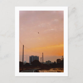 Cartão Postal primavera do pôr do sol da estrada