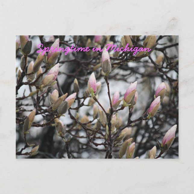 Cartão Postal Primavera em Michigan (Frente)