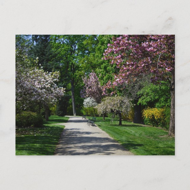 Cartão Postal Primavera em Viena, Áustria (Frente)