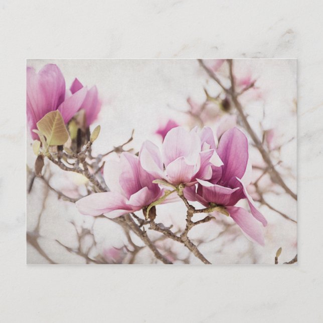 Cartão Postal Primavera está no ar (Frente)