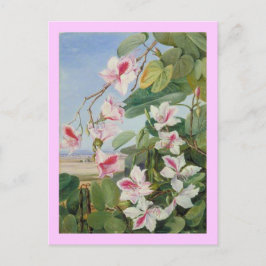 Cartão Postal Primavera Floral cor-de-rosa, Chá, Destino do Amor
