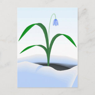 Cartão Postal Primavera floral na neve