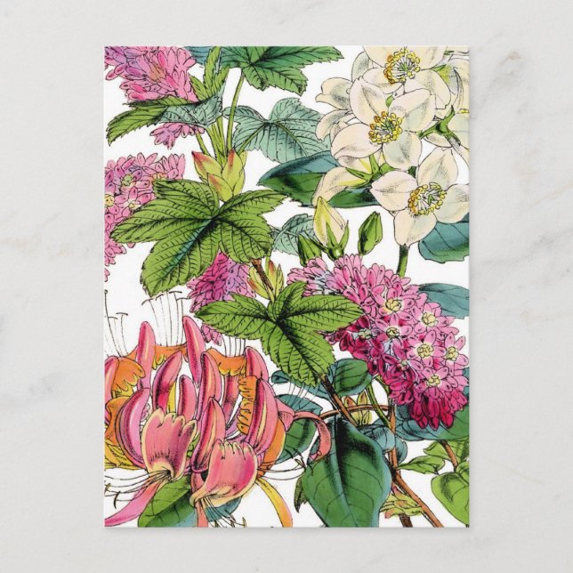 Cartão Postal Primavera Florals (Frente)