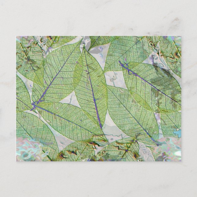 Cartão Postal Primavera Has Sprung (Frente)