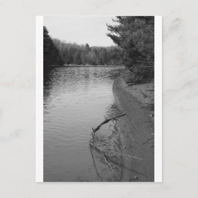 Cartão Postal Primavera Lake (Frente)