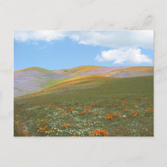 Cartão Postal Primavera Lndscp de C (Frente)