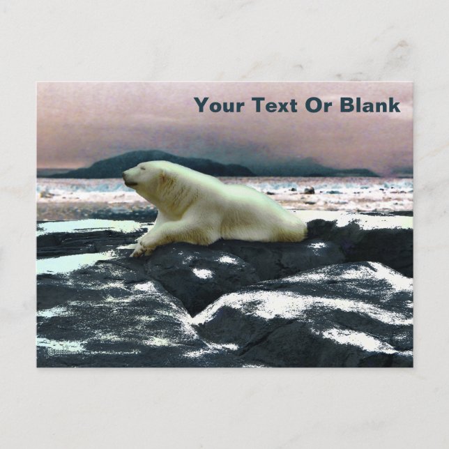 Cartão Postal Primavera Melt Polar Bear (Frente)