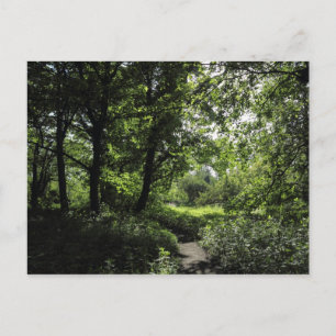 Cartão Postal Primavera no bosque 03