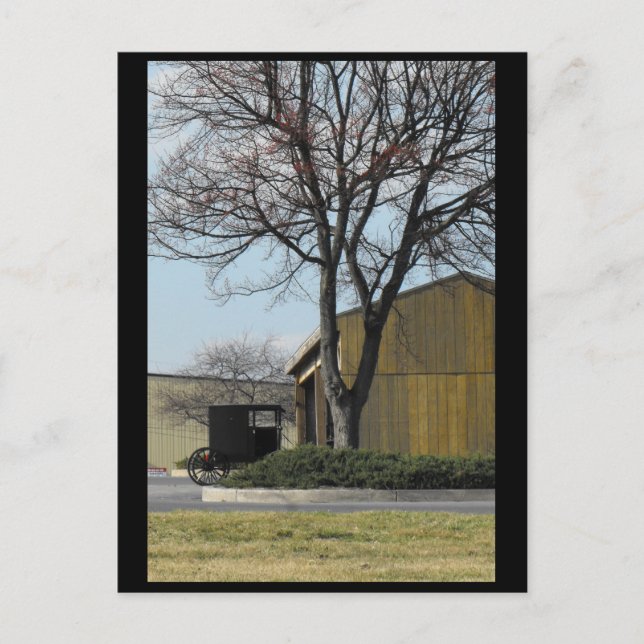 Cartão Postal ~ Primavera no condado de Lancaster ~ 96 (Frente)