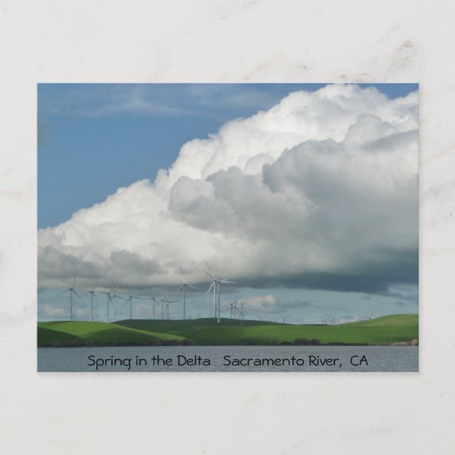 Cartão Postal Primavera no delta (Frente)