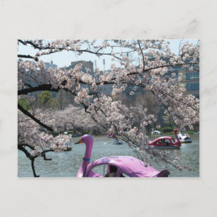 Cartão Postal Primavera no Lago Shinobazu: Ueno, Tóquio