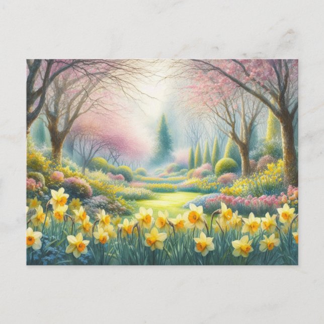 Cartão Postal Primavera no Parque com Narcisos em Flor  (Frente)