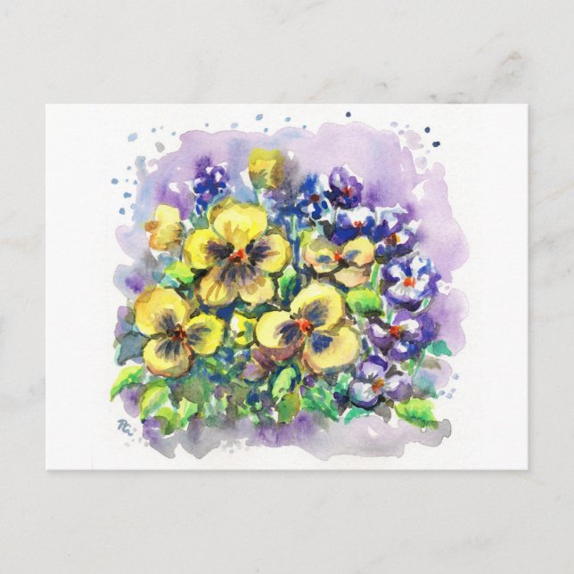 Cartão Postal Primavera Pansies (Frente)