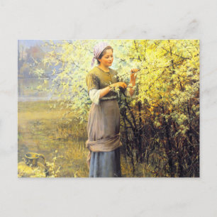 Cartão Postal Primavera por Daniel Ridgway Knight