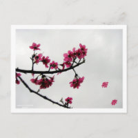 Primavera saudações/Cherry Blossoms Kanji