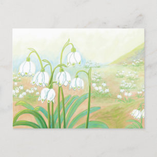Cartão Postal Primavera Snowflake, Leucojum vernum Ilustração