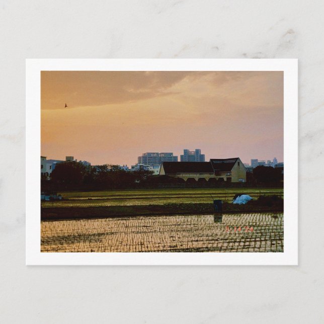 Cartão Postal primavera sunset country vibe (Frente)