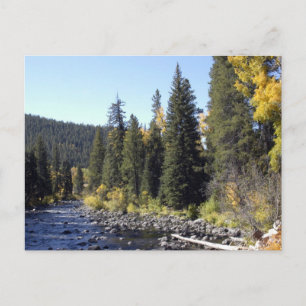 Cartão Postal Primaveras a vapor, Colorado