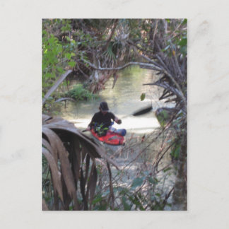 Cartão Postal Primaveras Juniper, Fl