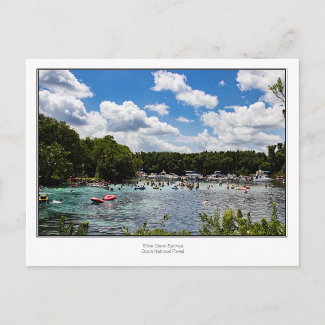 Cartão Postal Primaveras Silver Glenn (Frente)