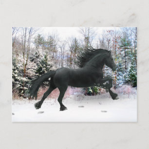 Cartão Postal "Primeira Corrida de Neve"