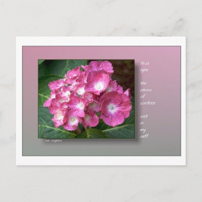 Cartão Postal Primeira Luz com Hydrangeas (Frente)