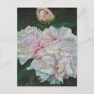 Cartão Postal Primeiro florescimento 2012