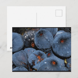 Cartão Postal Primeiro plano da fruta figo