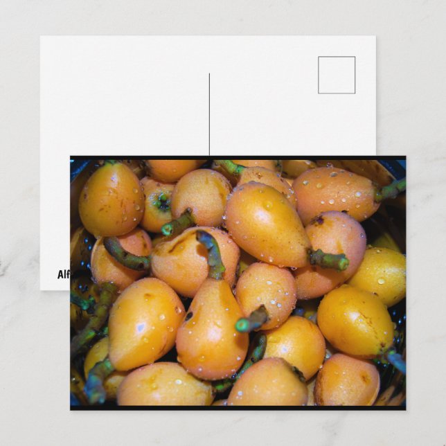 Cartão Postal Primeiro plano da fruta Nespola (Frente/Verso)