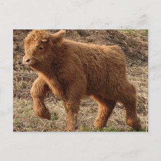 Cartão Postal primeiros passos