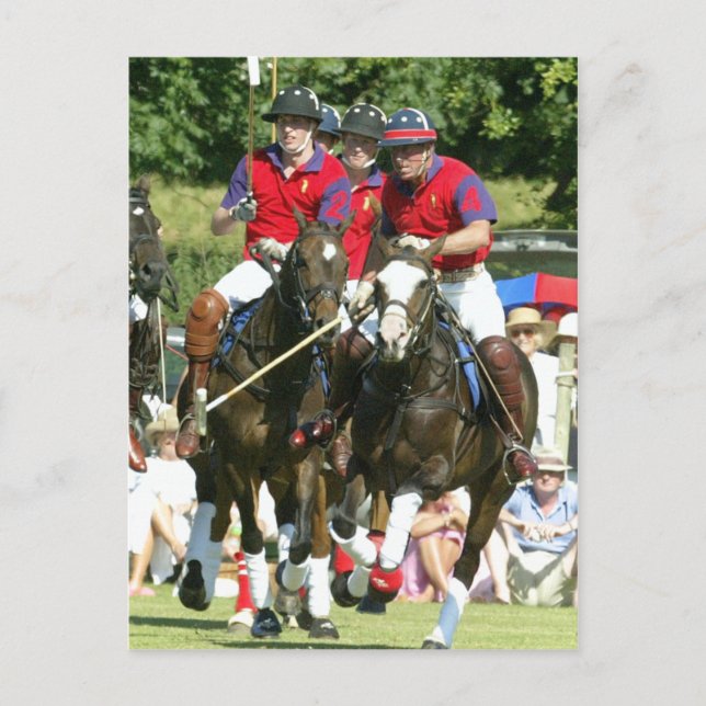 Cartão Postal Prince Charles William Harry polo (Frente)